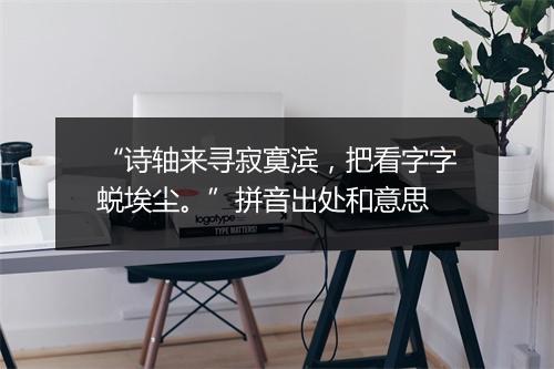 “诗轴来寻寂寞滨，把看字字蜕埃尘。”拼音出处和意思