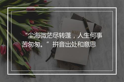 “尘海微茫尽转蓬，人生何事苦匆匆。”拼音出处和意思