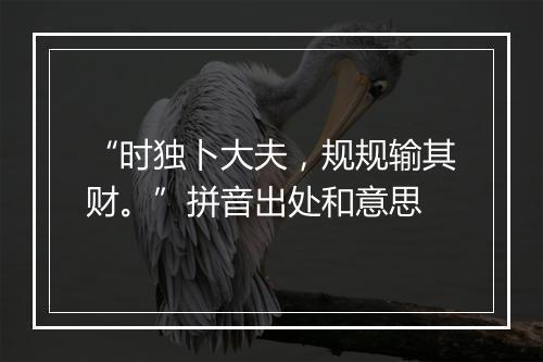 “时独卜大夫，规规输其财。”拼音出处和意思