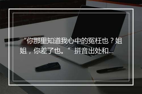 “你那里知道我心中的冤枉也？姐姐，你差了也。”拼音出处和意思