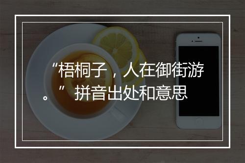 “梧桐子，人在御街游。”拼音出处和意思