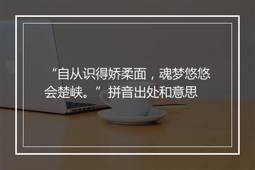 “自从识得娇柔面，魂梦悠悠会楚峡。”拼音出处和意思