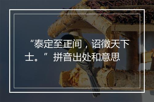 “泰定至正间，诏徵天下士。”拼音出处和意思