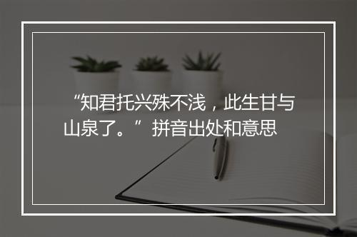 “知君托兴殊不浅，此生甘与山泉了。”拼音出处和意思