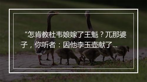 “怎肯教杜韦娘嫁了王魁？兀那婆子，你听者：因他李玉壶献了万言长策，”拼音出处和意思