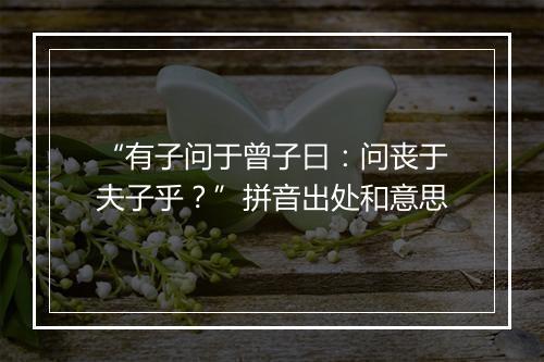 “有子问于曾子曰：问丧于夫子乎？”拼音出处和意思