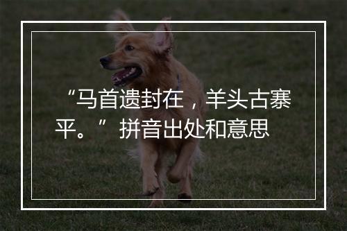 “马首遗封在，羊头古寨平。”拼音出处和意思