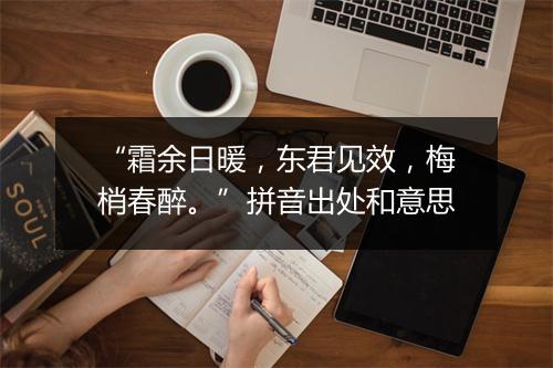 “霜余日暖，东君见效，梅梢春醉。”拼音出处和意思