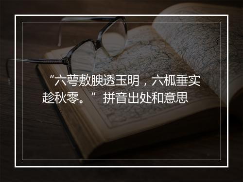 “六萼敷腴透玉明，六柧垂实趁秋零。”拼音出处和意思