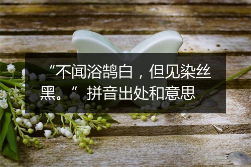 “不闻浴鹄白，但见染丝黑。”拼音出处和意思