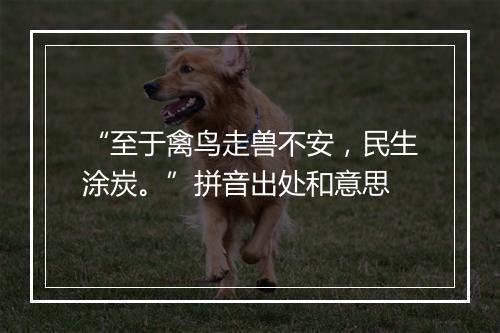 “至于禽鸟走兽不安，民生涂炭。”拼音出处和意思