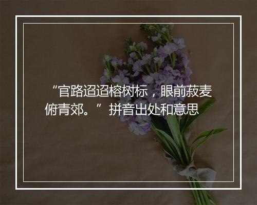 “官路迢迢榕树标，眼前菽麦俯青郊。”拼音出处和意思