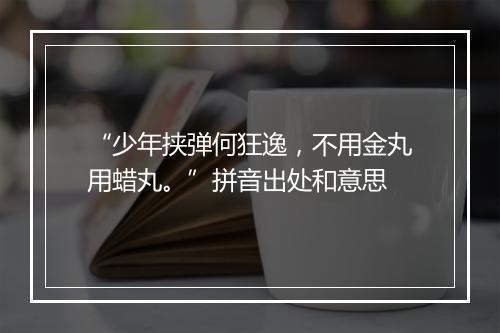 “少年挟弹何狂逸，不用金丸用蜡丸。”拼音出处和意思