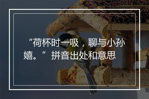 “荷杯时一吸，聊与小孙嬉。”拼音出处和意思