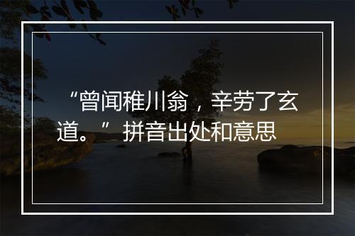 “曾闻稚川翁，辛劳了玄道。”拼音出处和意思