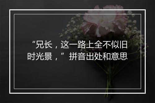 “兄长，这一路上全不似旧时光景，”拼音出处和意思