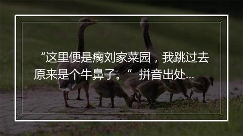 “这里便是瘸刘家菜园，我跳过去原来是个牛鼻子。”拼音出处和意思