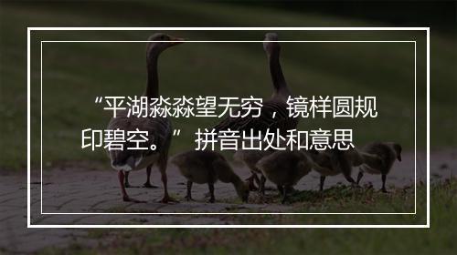 “平湖淼淼望无穷，镜样圆规印碧空。”拼音出处和意思