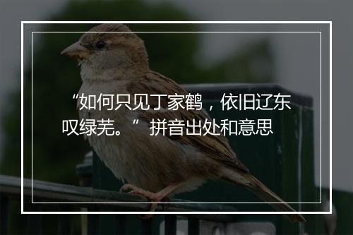 “如何只见丁家鹤，依旧辽东叹绿芜。”拼音出处和意思