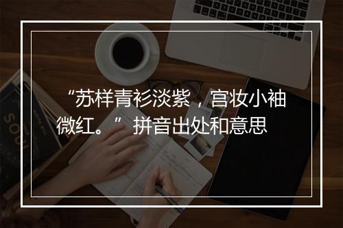 “苏样青衫淡紫，宫妆小袖微红。”拼音出处和意思