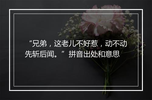 “兄弟，这老儿不好惹，动不动先斩后闻。”拼音出处和意思