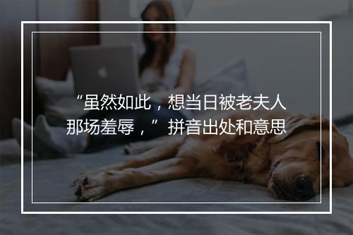 “虽然如此，想当日被老夫人那场羞辱，”拼音出处和意思