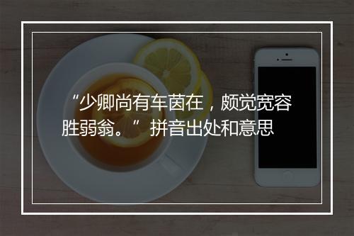 “少卿尚有车茵在，颇觉宽容胜弱翁。”拼音出处和意思