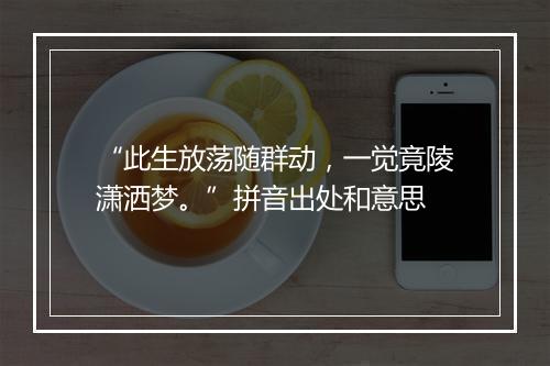 “此生放荡随群动，一觉竟陵潇洒梦。”拼音出处和意思