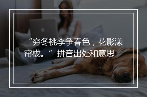 “穷冬桃李争春色，花影漾帘栊。”拼音出处和意思