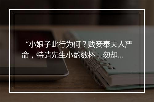 “小娘子此行为何？贱妾奉夫人严命，特请先生小酌数杯，勿却。”拼音出处和意思