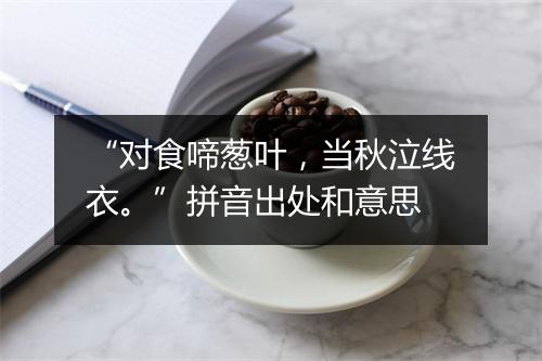 “对食啼葱叶，当秋泣线衣。”拼音出处和意思