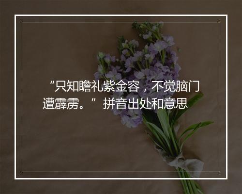 “只知瞻礼紫金容，不觉脑门遭霹雳。”拼音出处和意思