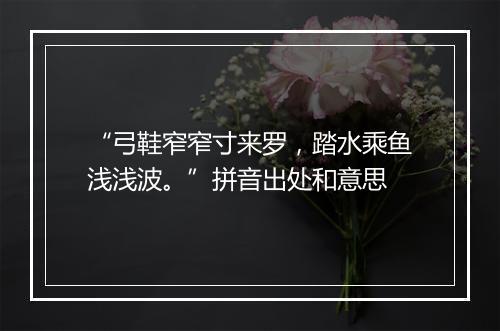 “弓鞋窄窄寸来罗，踏水乘鱼浅浅波。”拼音出处和意思