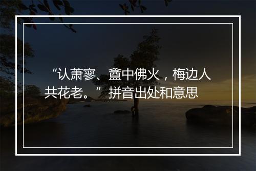 “认萧寥、盦中佛火，梅边人共花老。”拼音出处和意思