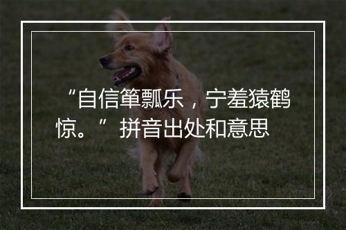 “自信箪瓢乐，宁羞猿鹤惊。”拼音出处和意思