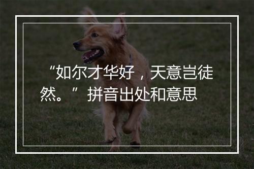 “如尔才华好，天意岂徒然。”拼音出处和意思