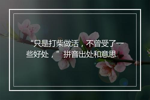 “只是打柴做活，不曾受了一些好处，”拼音出处和意思