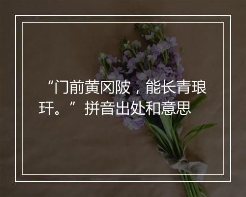 “门前黄冈陂，能长青琅玕。”拼音出处和意思