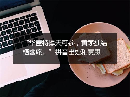 “华盖特撑天可参，黄茅独结栖幽庵。”拼音出处和意思