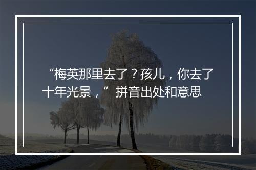 “梅英那里去了？孩儿，你去了十年光景，”拼音出处和意思