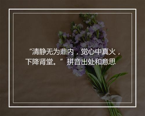 “清静无为鼎内，觉心中真火，下降肾堂。”拼音出处和意思