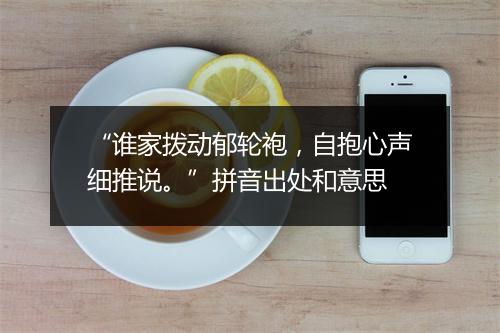 “谁家拨动郁轮袍，自抱心声细推说。”拼音出处和意思