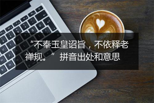 “不奉玉皇诏旨，不依释老禅规。”拼音出处和意思