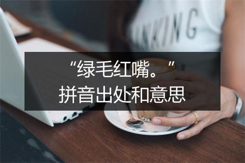 “绿毛红嘴。”拼音出处和意思