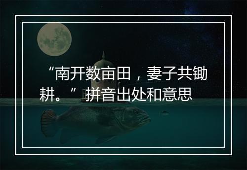 “南开数亩田，妻子共锄耕。”拼音出处和意思