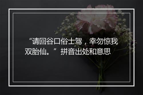 “请回谷口俗士驾，幸勿惊我双胎仙。”拼音出处和意思