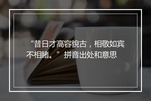 “昔日才高容貌古，相敬如宾不相睹。”拼音出处和意思