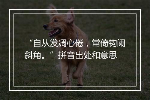 “自从发凋心倦，常倚钩阑斜角。”拼音出处和意思