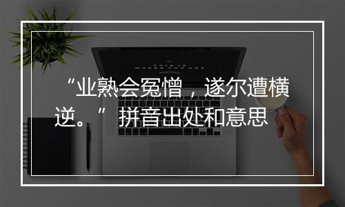 “业熟会冤憎，遂尔遭横逆。”拼音出处和意思