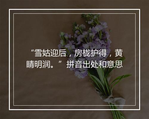 “雪姑迎后，房栊护得，黄睛明润。”拼音出处和意思